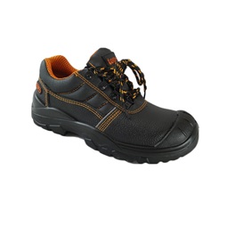 src safety shoes